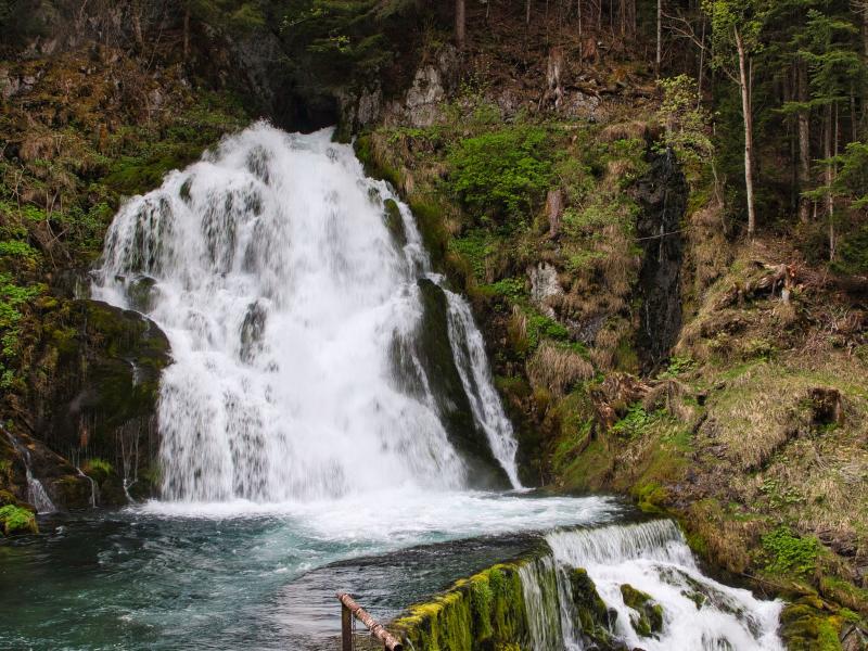 Breathtaking waterfall surrounded by a lush forest in Jaun, Switzerland, showcasing nature's beauty.