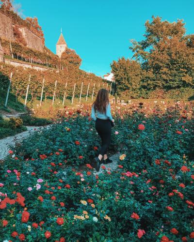 A woman walks through a colorful flower garden in Rapperswil-Jona, Switzerland, surrounded by vibrant blooms and scenic views.