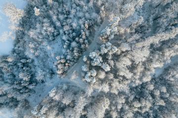 Stunning aerial view of a snow-covered forest in Zurich, Switzerland during winter.