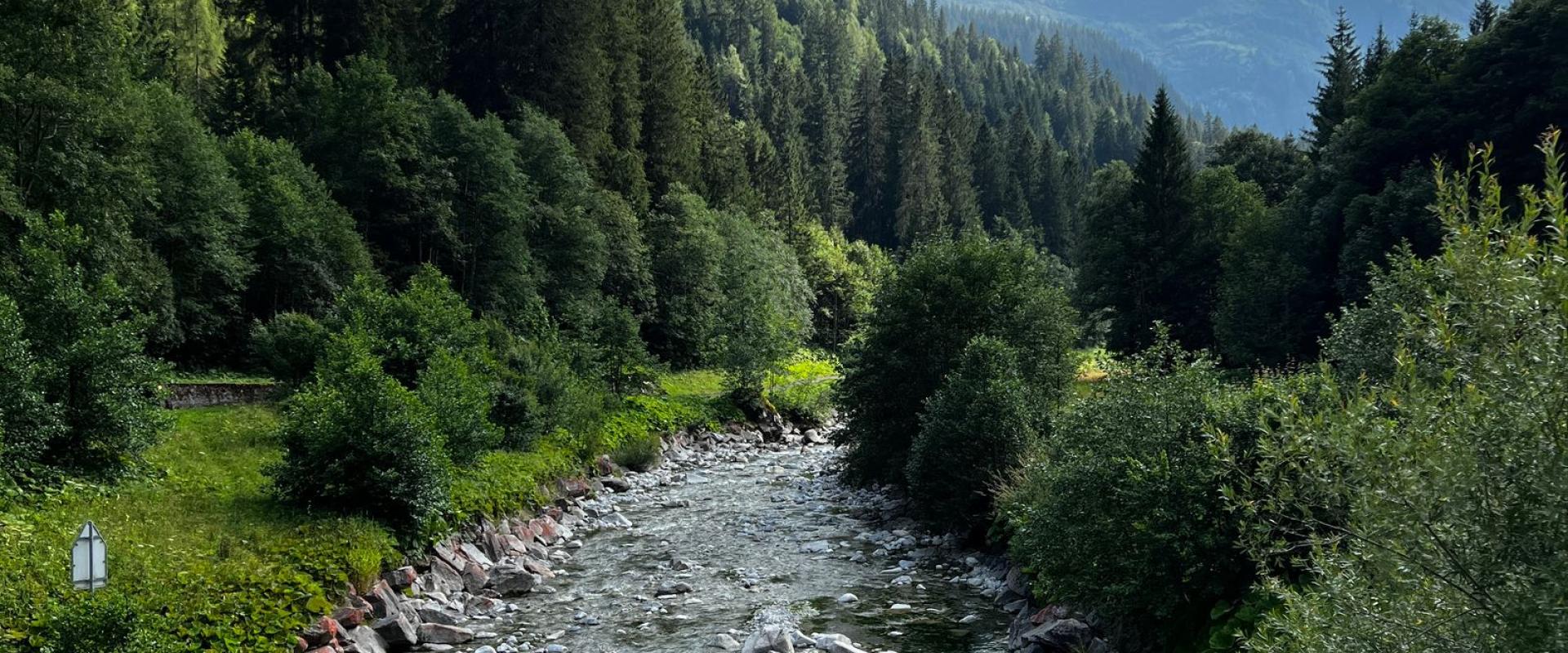 Jungfrau Region for Hikers