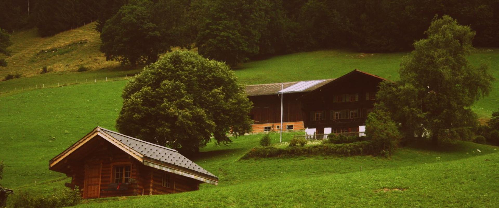 Swiss Fondue