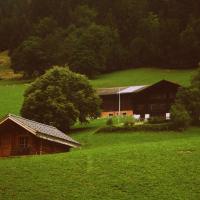 Idyllic Swiss landscape featuring traditional wooden farmhouses nestled in lush green hills and serene nature.