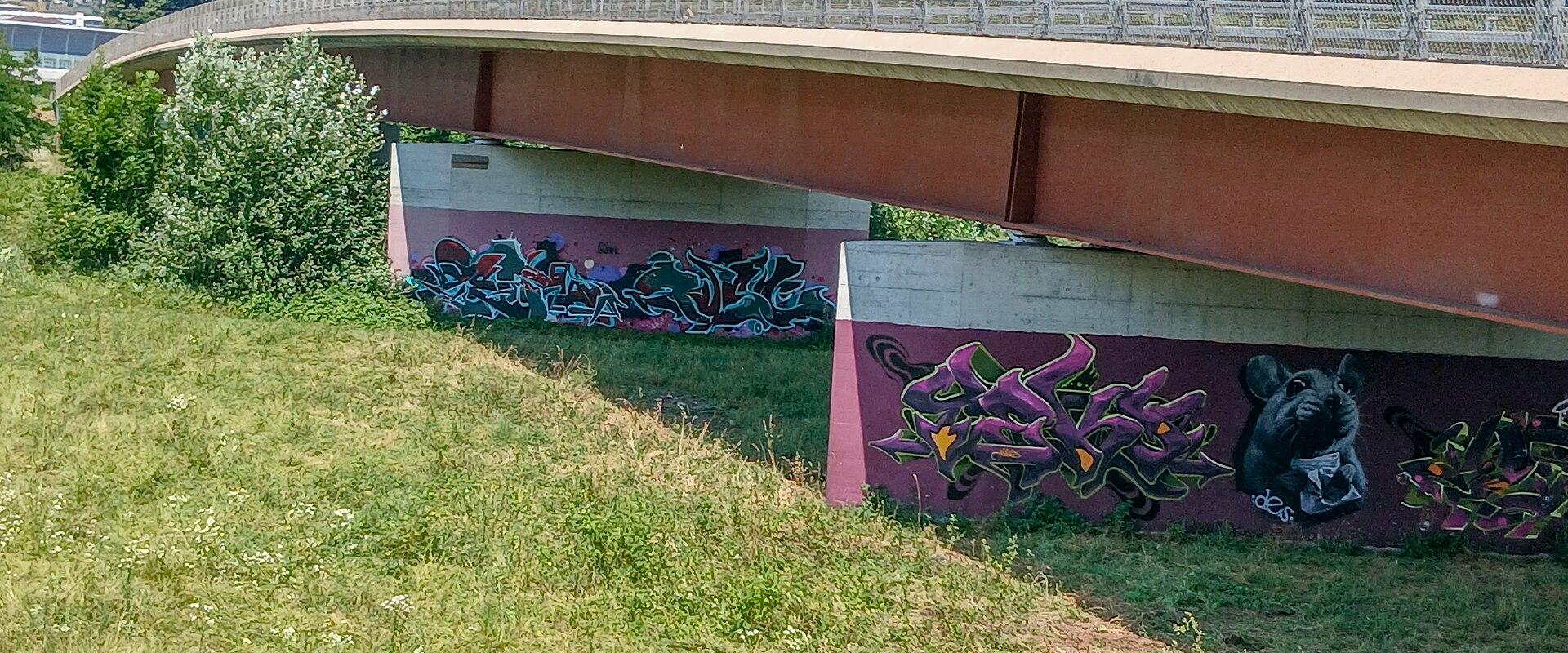 Via al Ticino-Brücke über den Tessin, Giubiasco TI – Sementina TI 20250620-jag9889