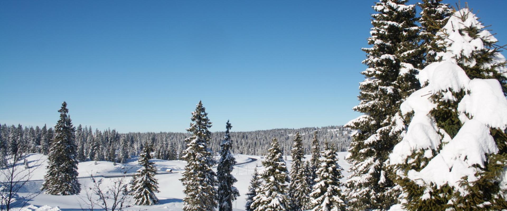 Jura Hiver 2008