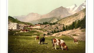 Valais